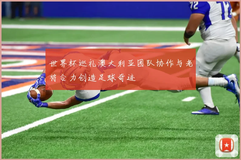 世界杯巡礼澳大利亚团队协作与老将合力创造足球奇迹